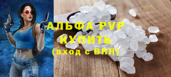 стаф Арсеньев